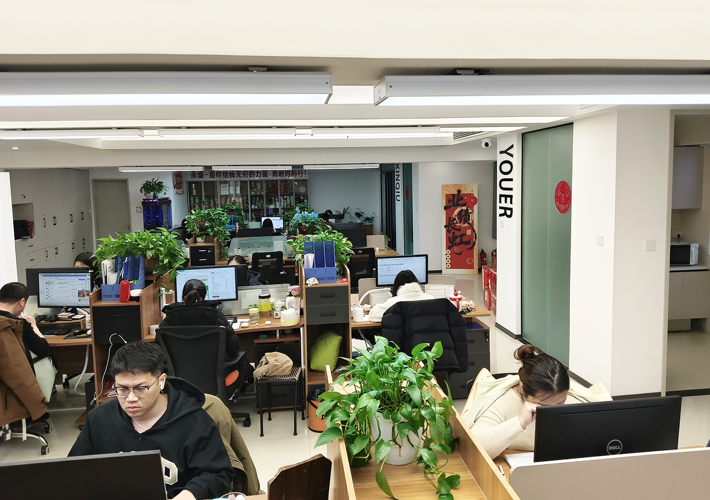 About Hebei Youer New Material Science and Technology Co., Ltd.
